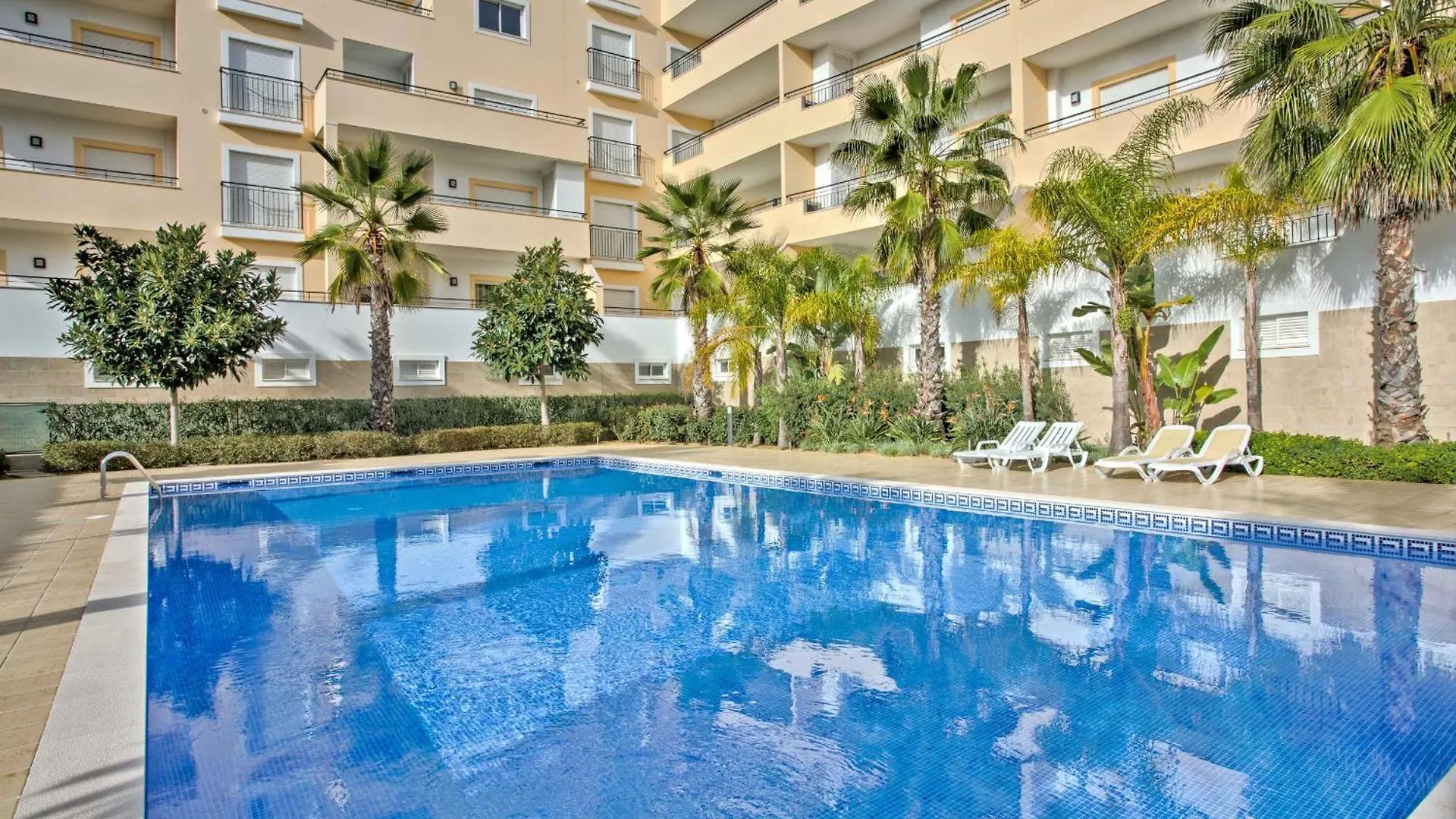 Lagos Palm Tree With Pool By Homing
