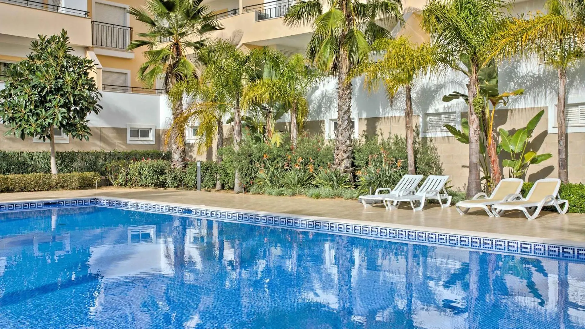 Lagos Palm Tree With Pool By Homing